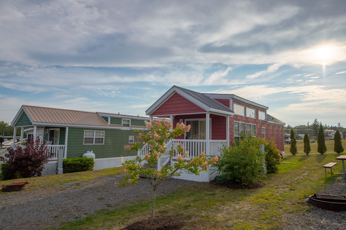 A row of mobile homes with a grassy yard and a small tree in the foreground.