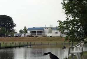 Lake - Twin Lakes RV & Camping Resort (Chocowinity)