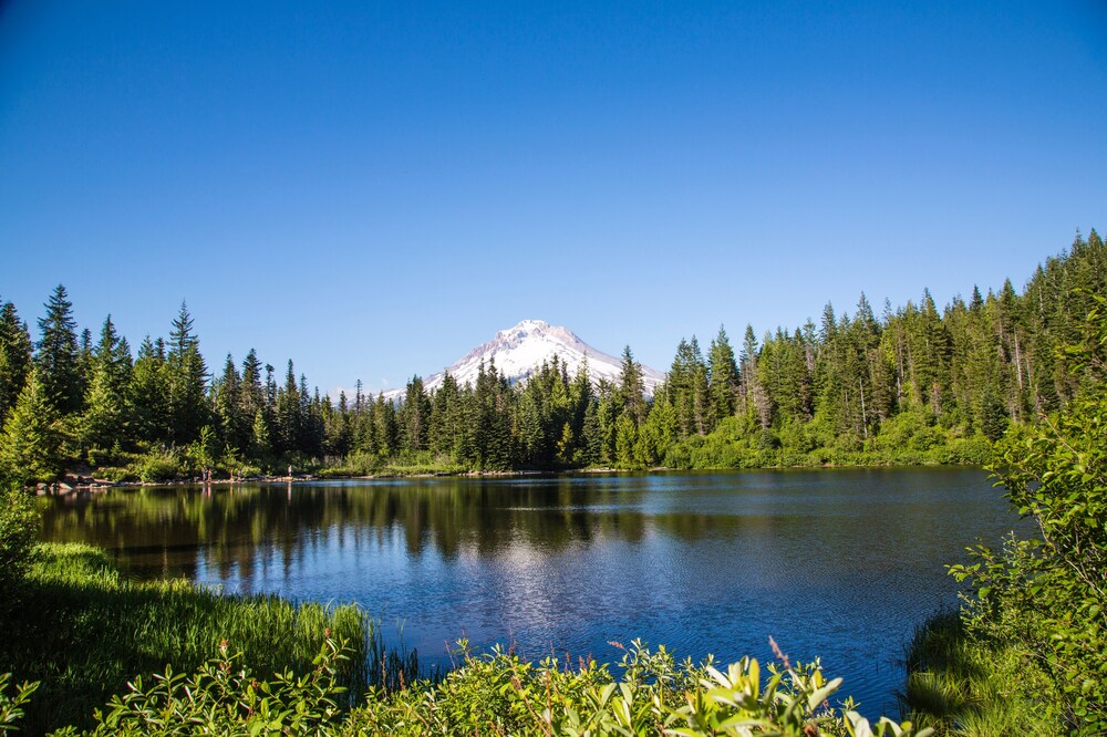 Mt Hood Village RV Resort