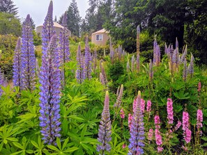 Khuôn viên nơi lưu trú