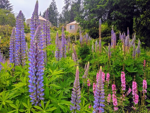 South Jetty RV & Camping Resort