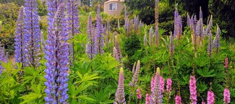 South Jetty RV & Camping Resort