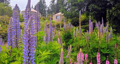 South Jetty RV & Camping Resort