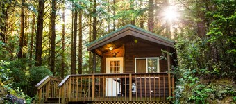 South Jetty RV & Camping Resort