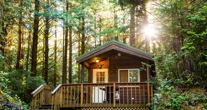 South Jetty RV & Camping Resort