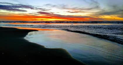 South Jetty RV & Camping Resort