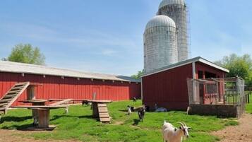 Servicio de la propiedad