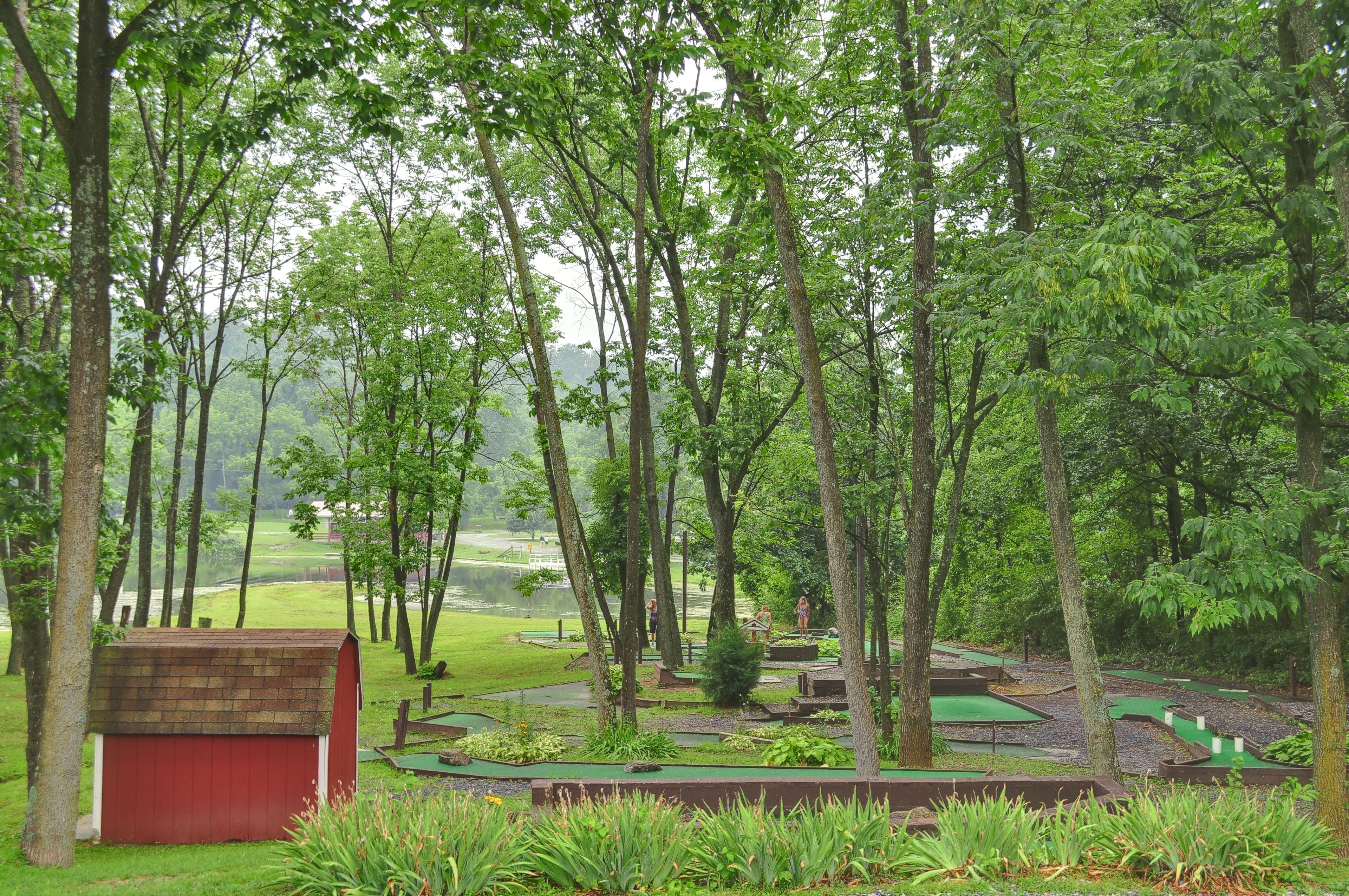A miniature golf course surrounded by lush greenery and trees.