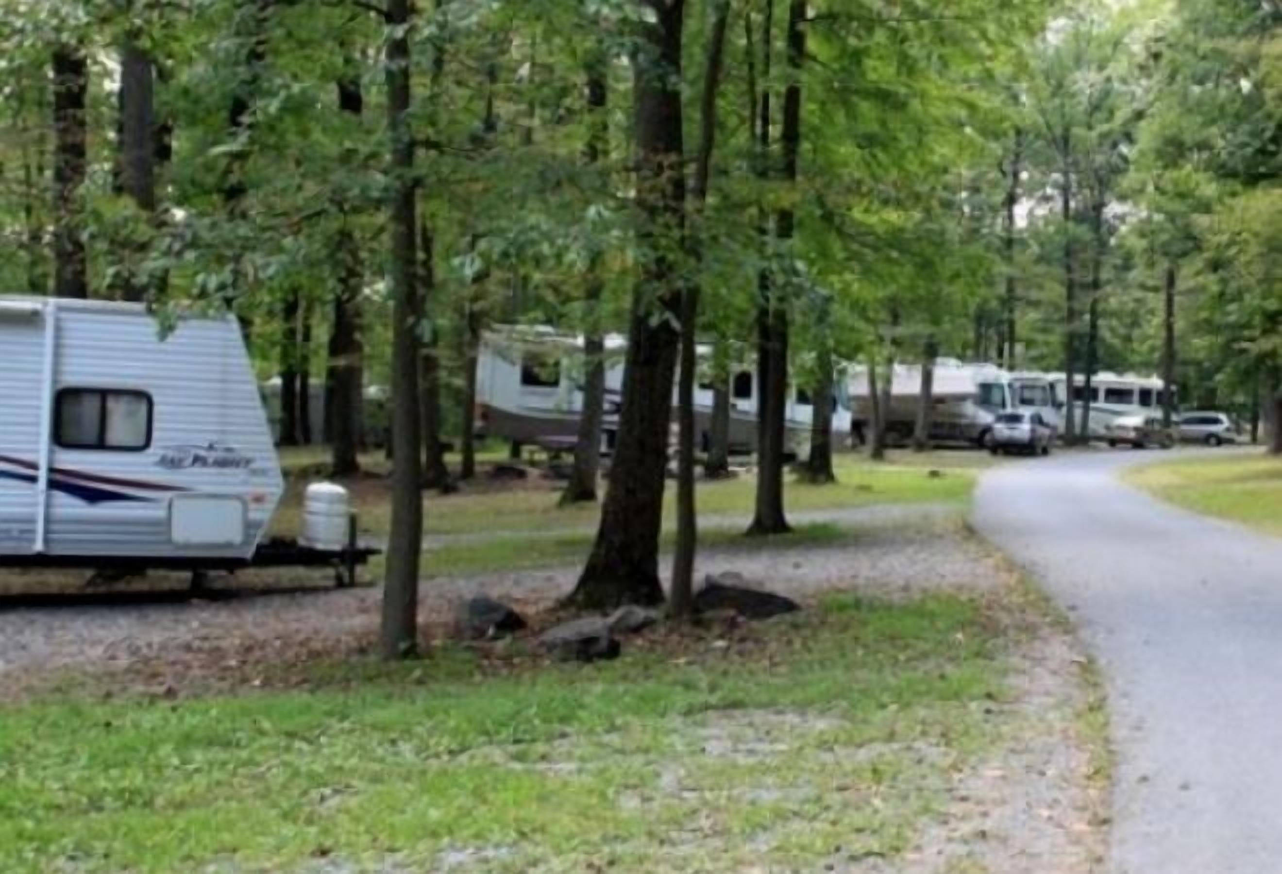 A campground with RVs parked along a paved path surrounded by trees.