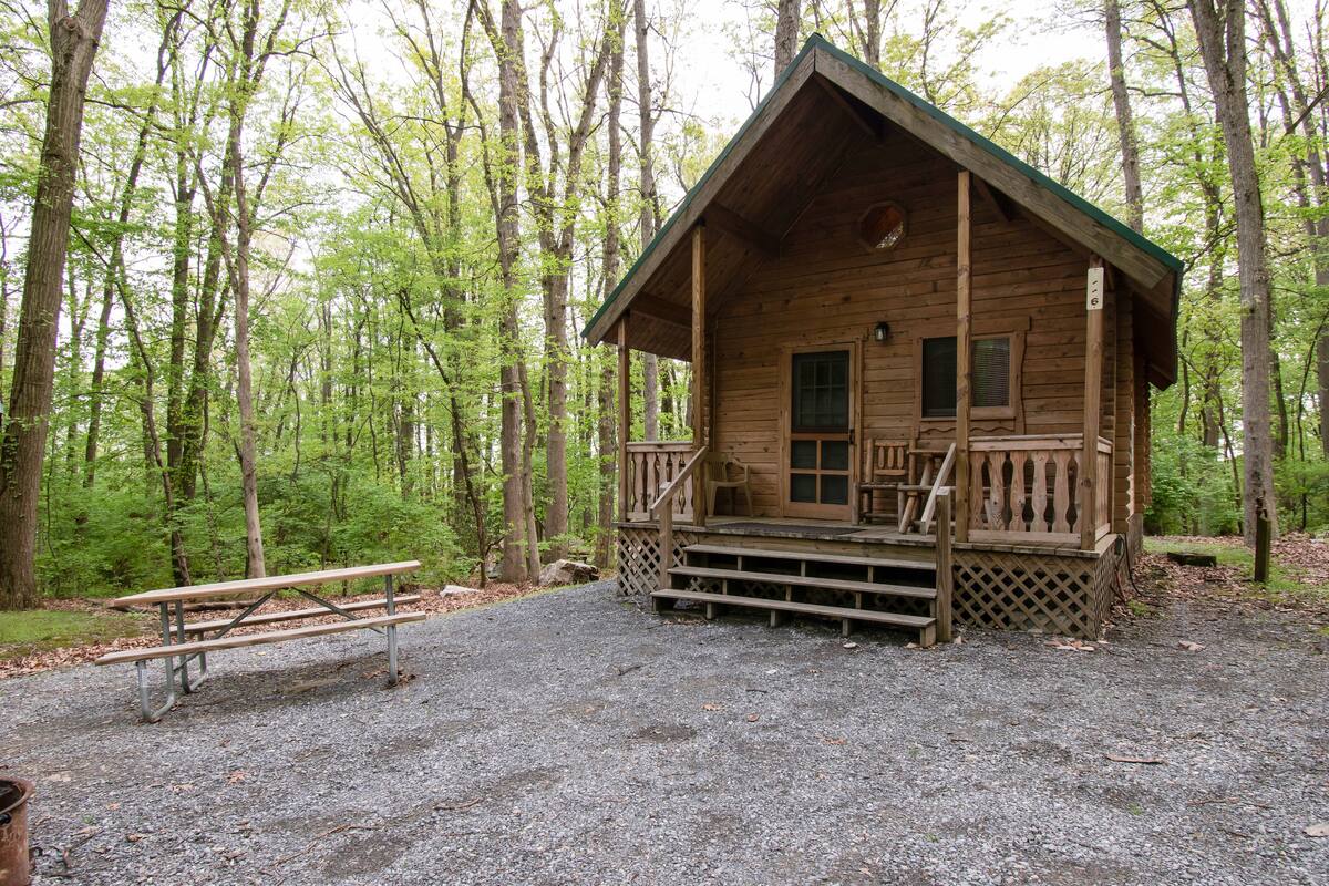 A wooden cabin with a porch, a picnic table, and a gravel ground.