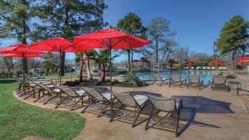 Outdoor pool, sun loungers