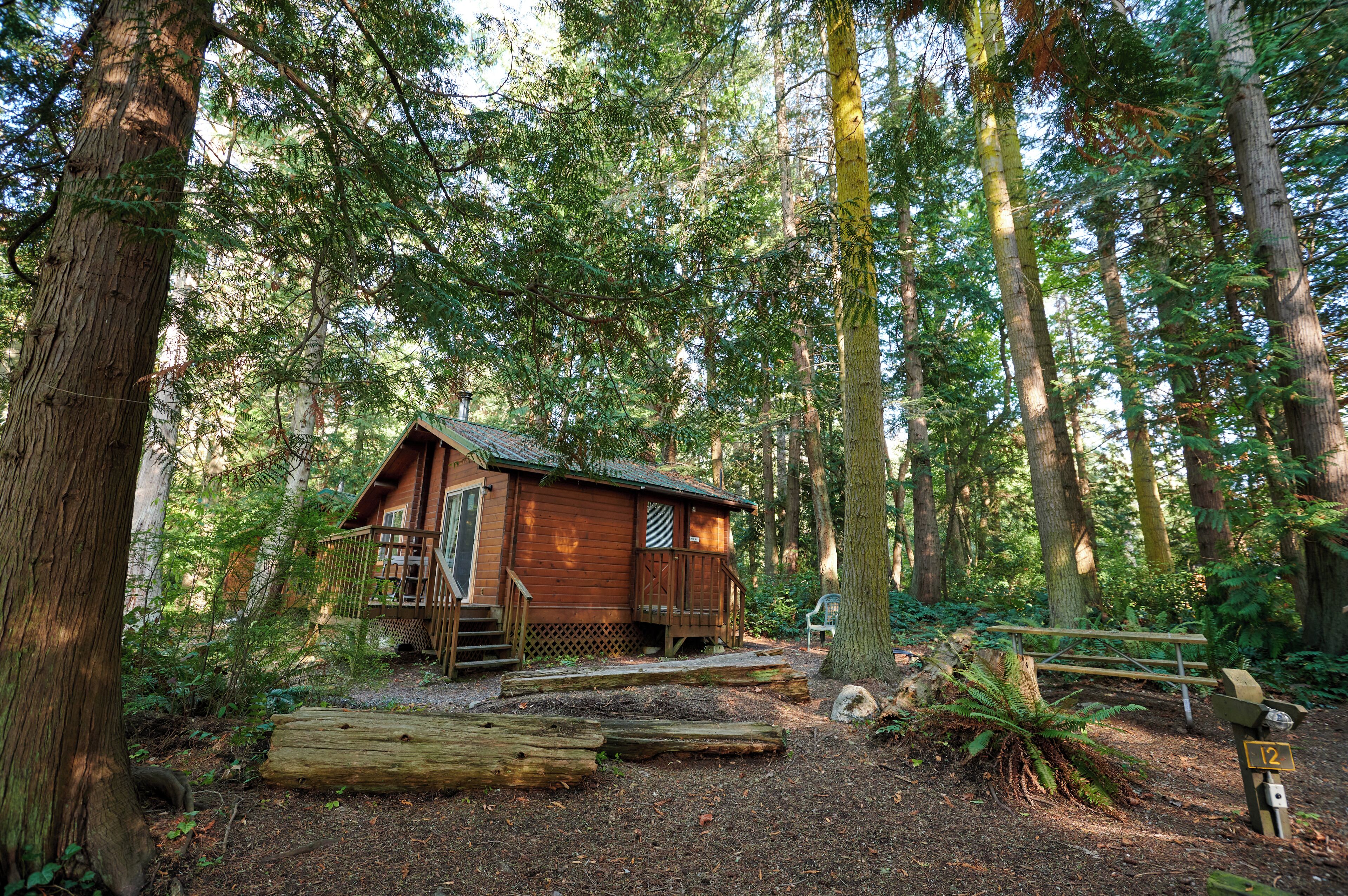 1 soverom og sengetøy