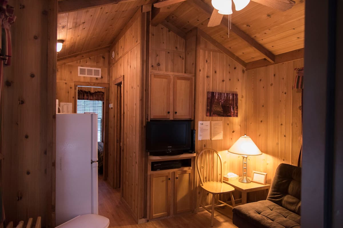 Interior de una cabaña de madera con televisión, una mesa con lámpara, una silla y un refrigerador.