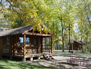 Cabin (No Pets, Linens Incl)