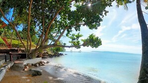 Une plage avec une terrasse en bois, des palmiers et une vue dégagée sur l’océan.