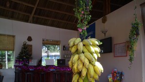 Een restaurant met een grote tros bananen, een kerstboom en een laptop op de toonbank.