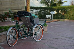 Ein stehendes Fahrrad mit Korb und Sitz, geparkt auf befestigter Fläche. Im Hintergrund sind eine Palme und Grünpflanzen zu sehen.