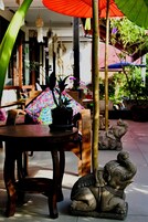 A wooden table with a potted plant and a colorful umbrella.