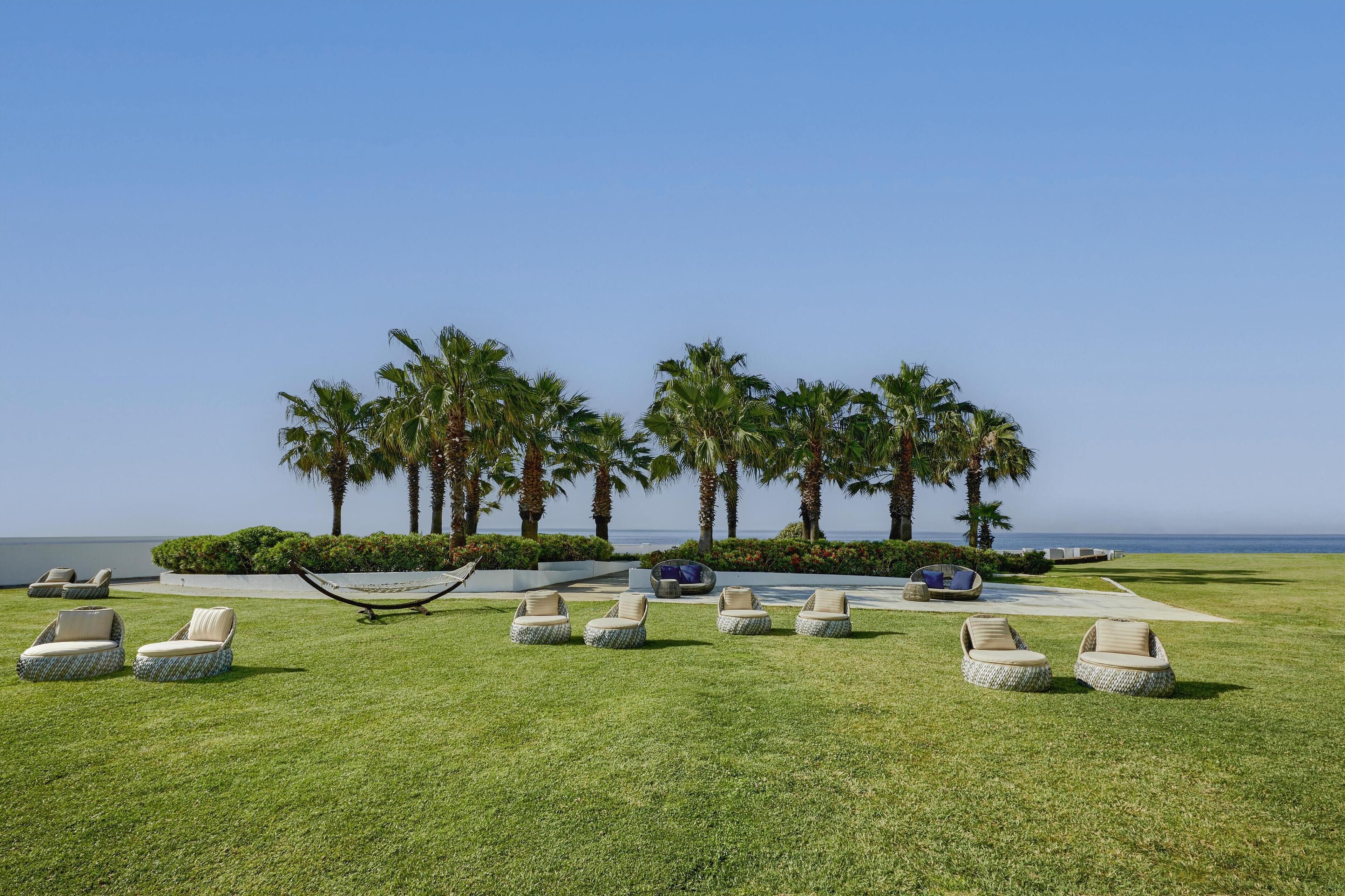 A grassy outdoor area with several wicker lounge chairs and a hammock, surrounded by palm trees and a view of the ocean.