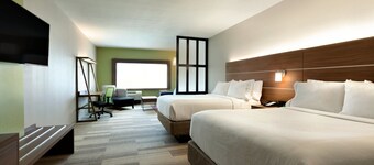 Holiday Inn Express & Suites Edinburg-McAllen Area by IHG