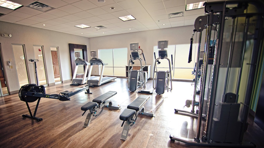 Holiday Inn Express & Suites Edinburg-McAllen Area by IHG