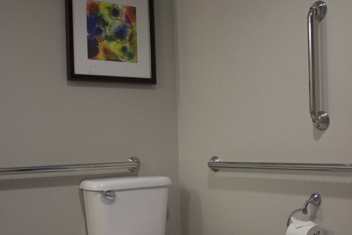 A standard bathroom with a toilet, grab bars, and a framed artwork on the wall.