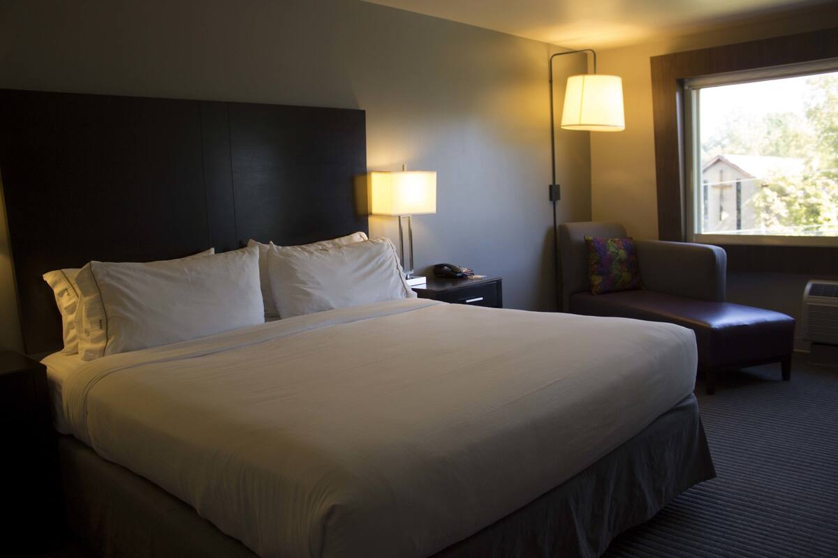 A hotel room with a large bed, a nightstand, a chair, a lamp, and a window with a view of trees.