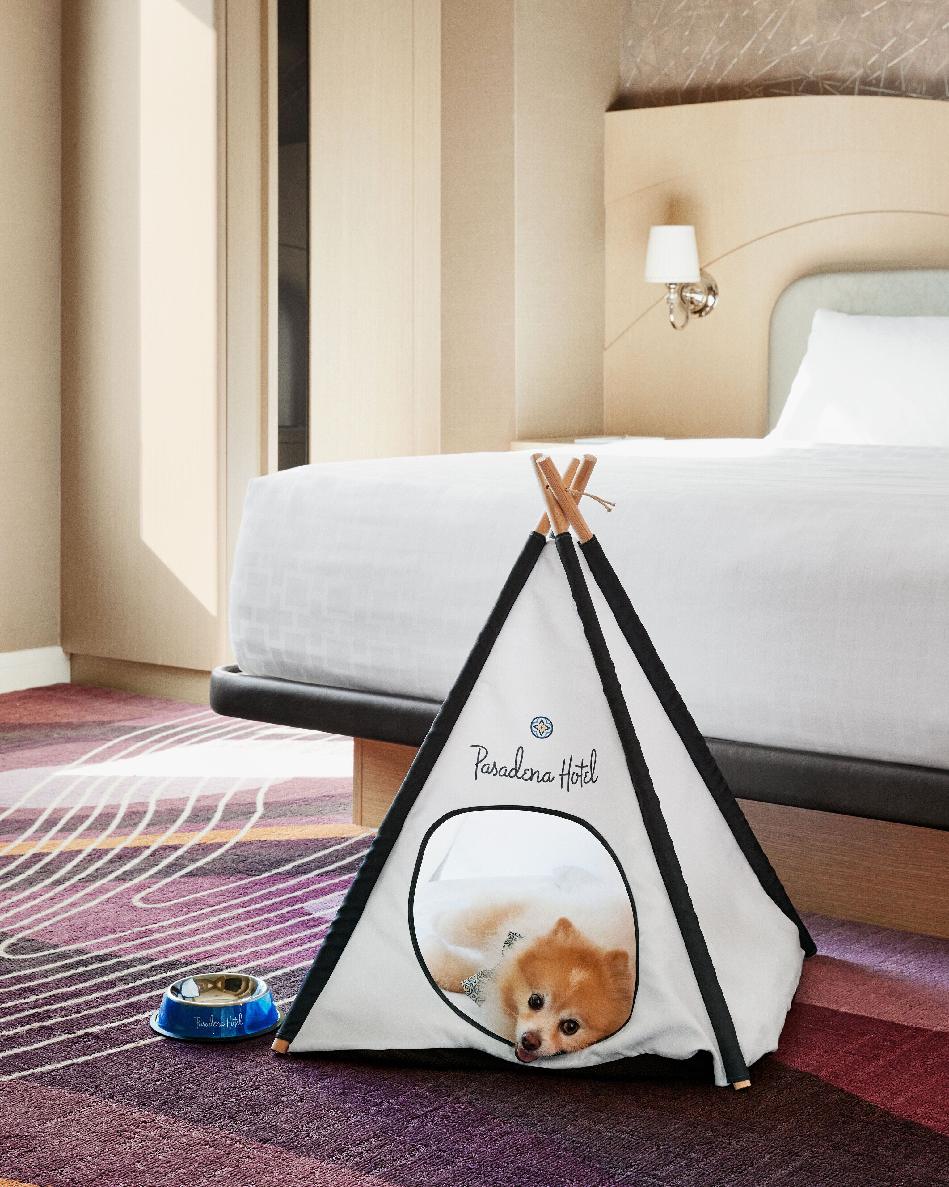 Pet-friendly amenities