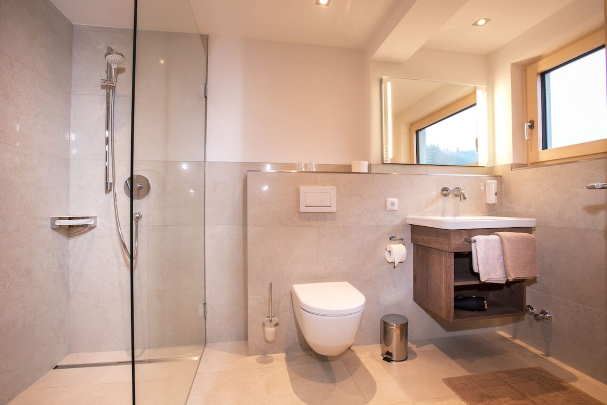 shower, free toiletries, hair dryer, towels