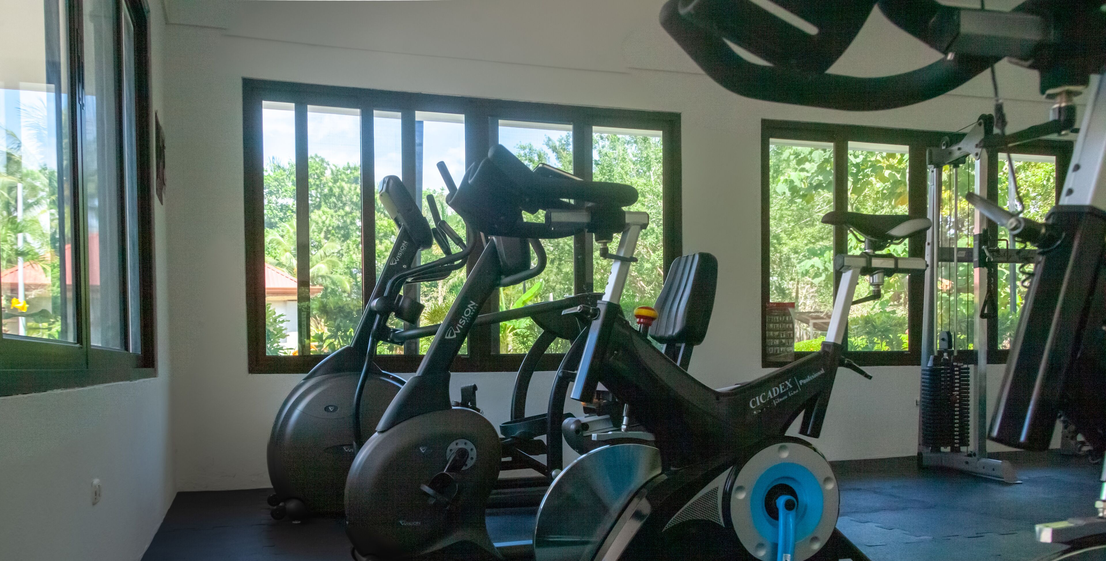 Gimnasio