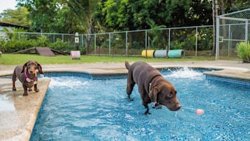 Pet-friendly amenities
