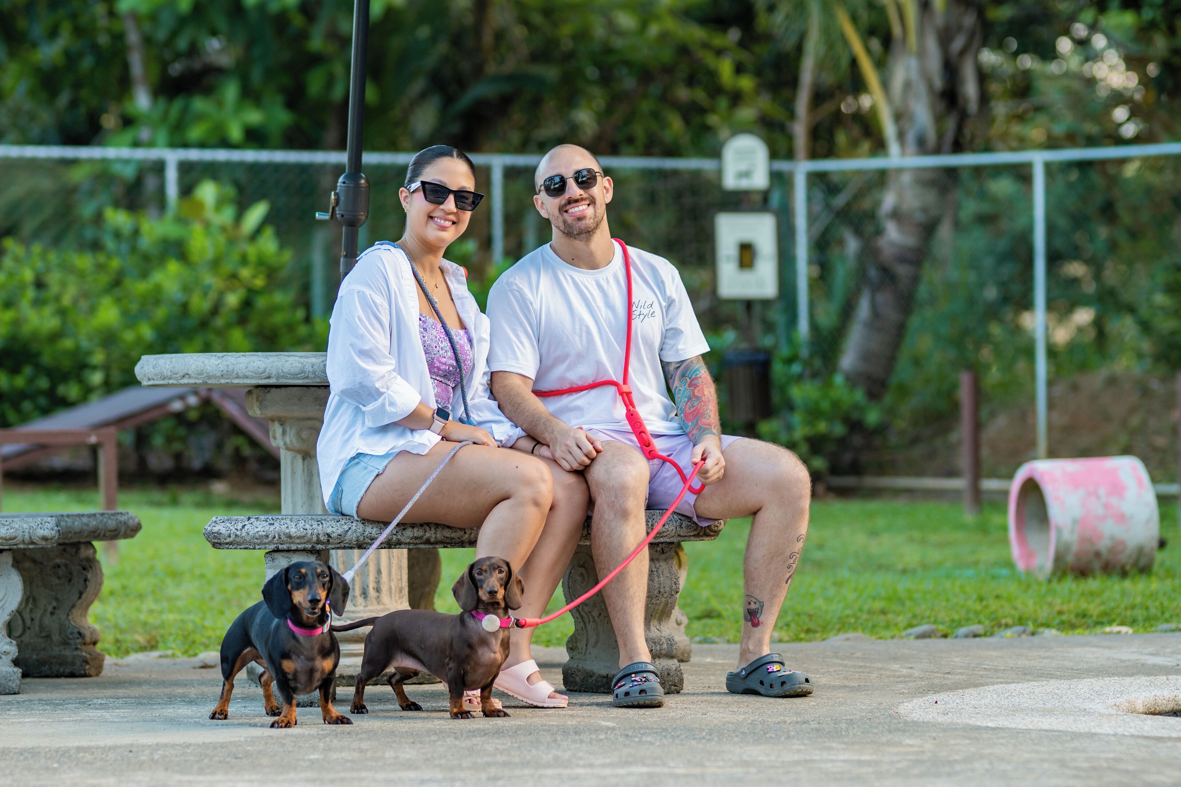 Pet-friendly