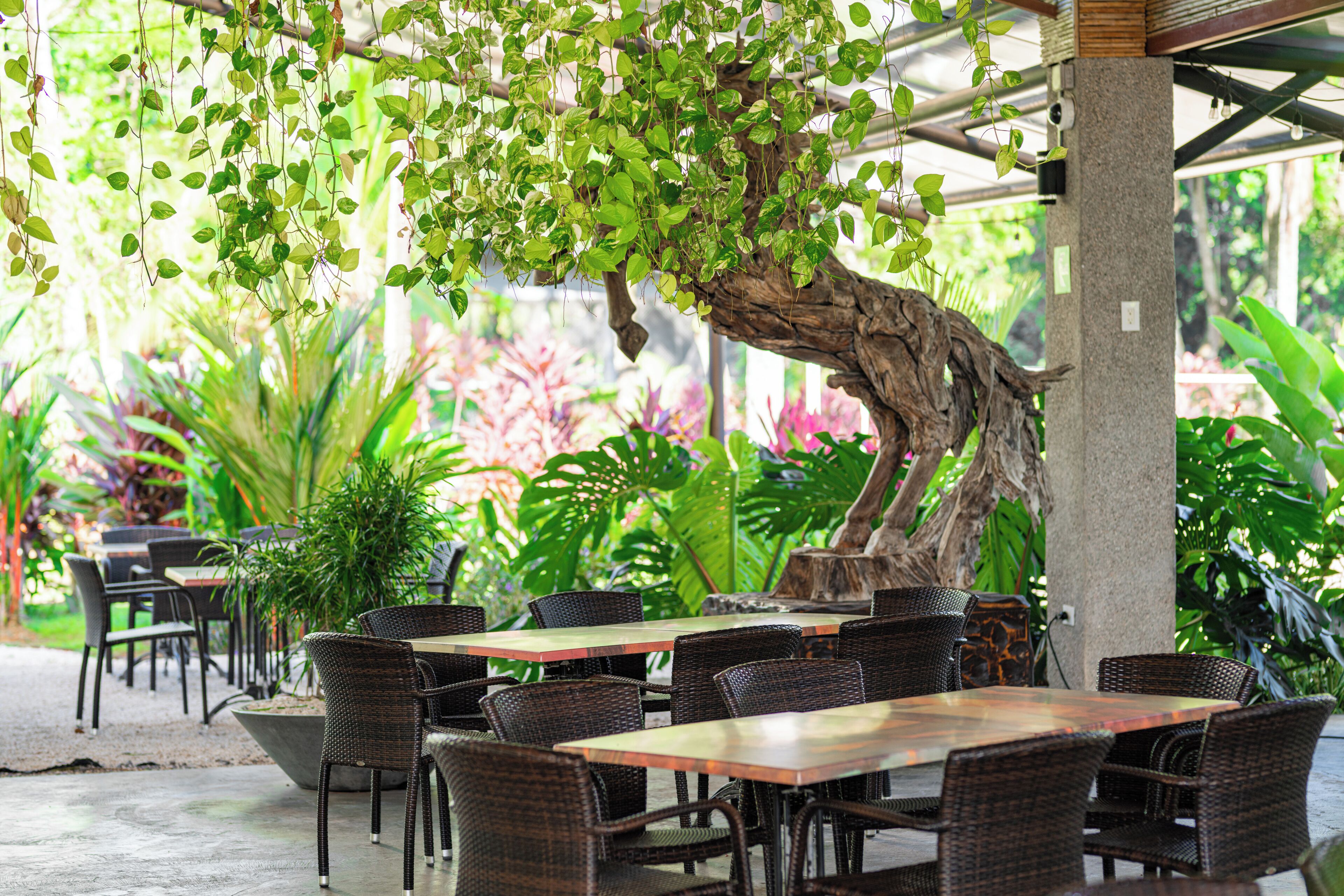 breakfast, lunch, dinner served; international cuisine