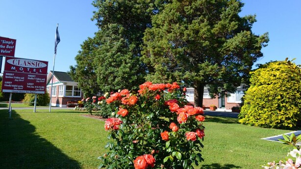 Un motel doté d’un grand arbre et d’un jardin bien entretenu où poussent des rosiers rouges.