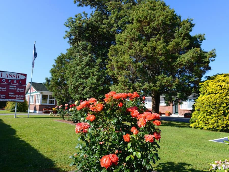Mostrador para check-in y check-out