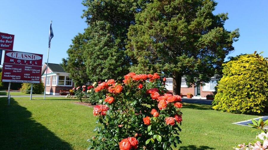 Classic Motel