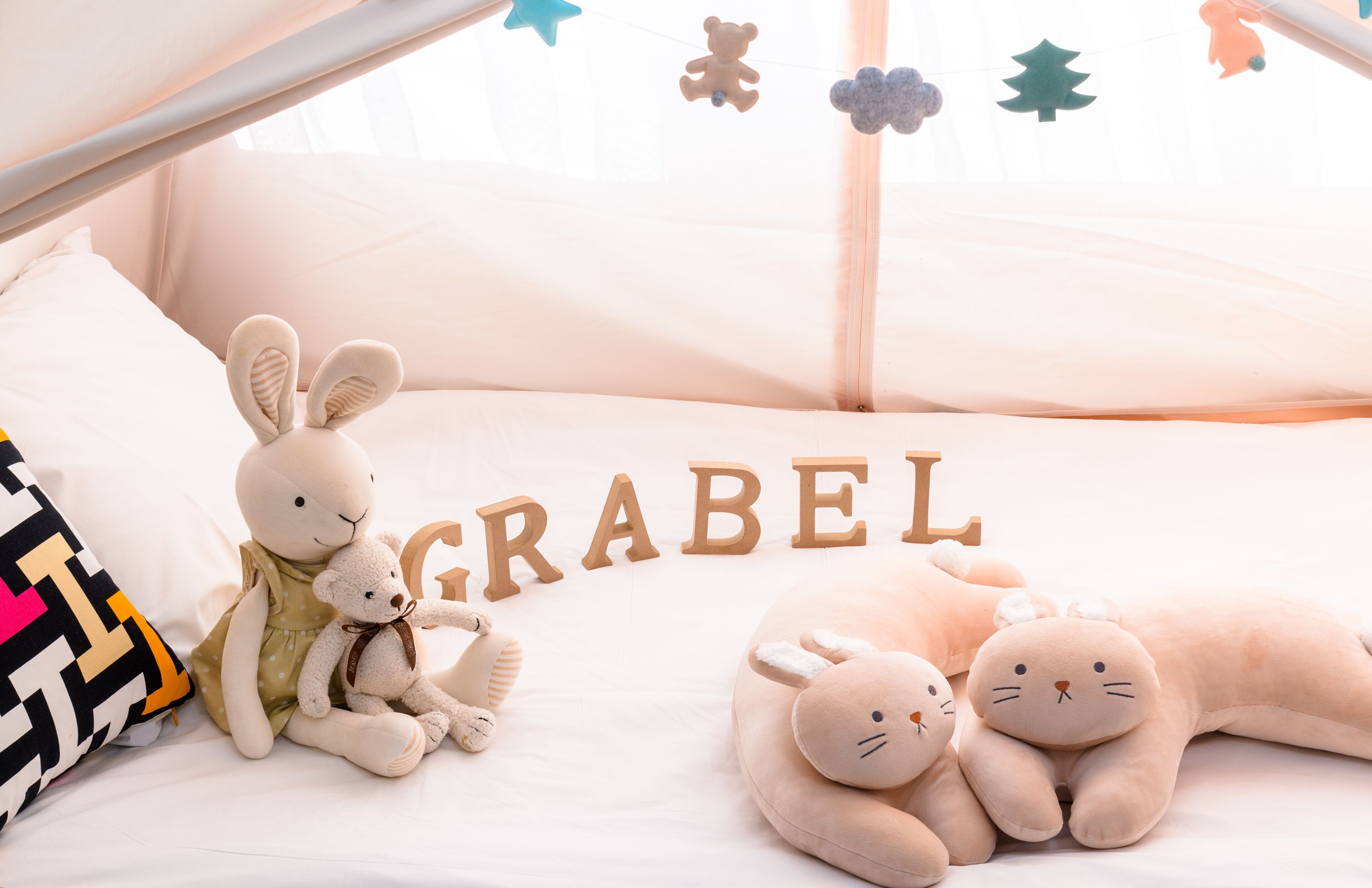 Une chambre confortable avec un lit, des peluches et un ciel de lit.