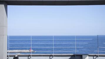 A view of the ocean through a window with a metal grid.