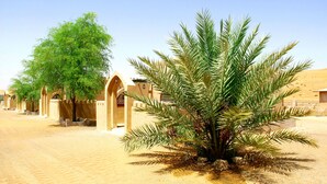 Exterior - Arabian Oryx Camp (Bidiya)