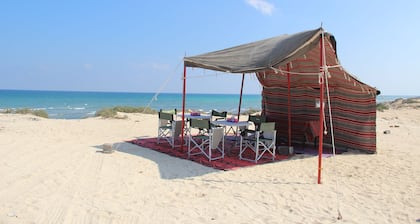 Arabian Oryx Camp