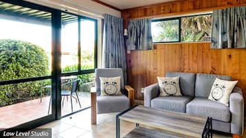 Studio Unit Garden View Lower Level | Living area