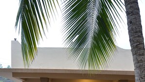 Un edificio de dos pisos con balcón, plantas en macetas y una palmera.
