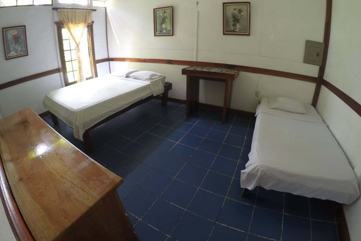 Junior Room, 1 King Bed, Garden View, Beachfront