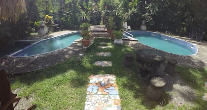 The Lotus Garden