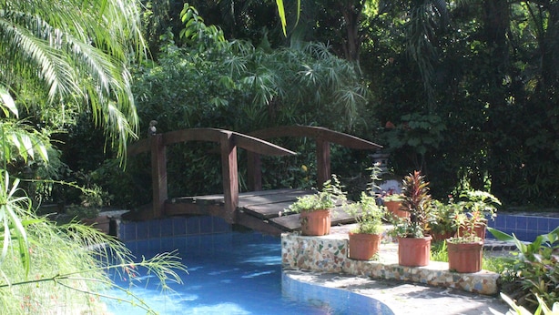 Unclassified image, 1 of 31, button - The Lotus Garden (Cahuita)