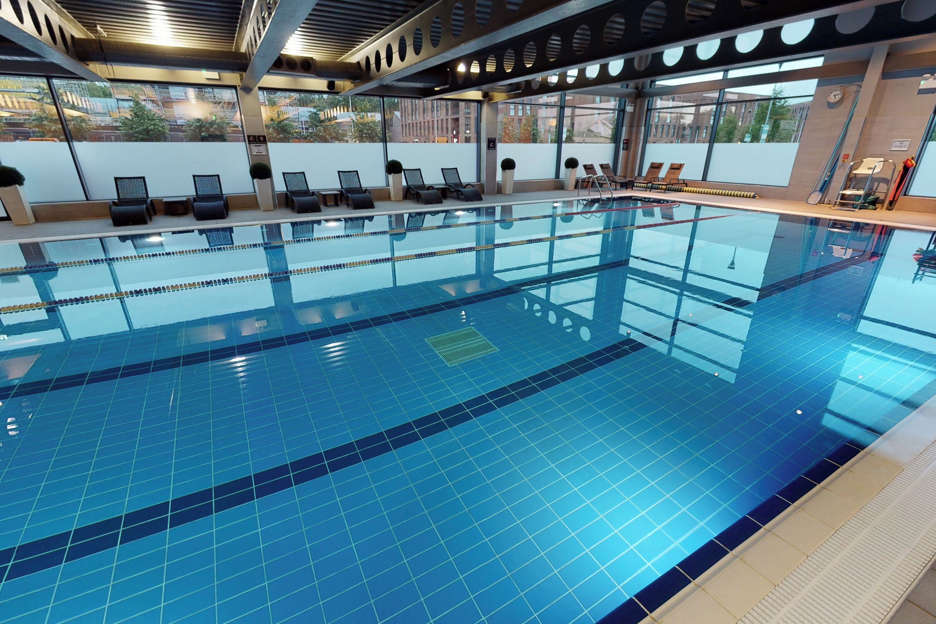 Indoor pool, sun loungers