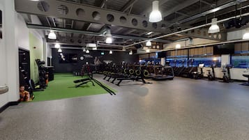 A gym with various exercise equipment, green artificial turf, and a high ceiling with circular cutouts.