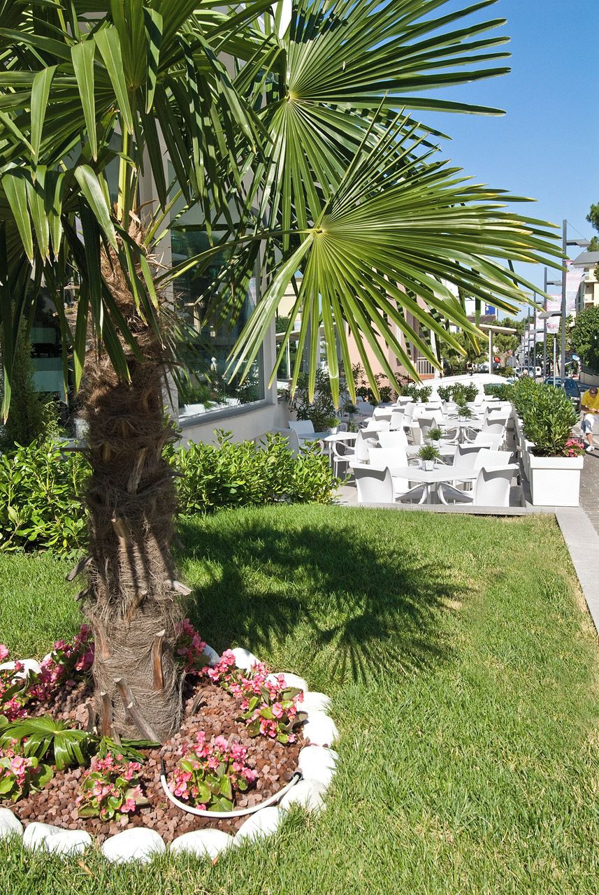 A palm tree surrounded by a flower bed with pink flowers, a white outdoor seating area, and a building in the background.