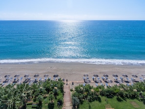A beach with rows of sun loungers and umbrellas, a wooden walkway leading to the beach, and palm trees in the foreground. - Poseidon Beach Hotel (Preveza)
