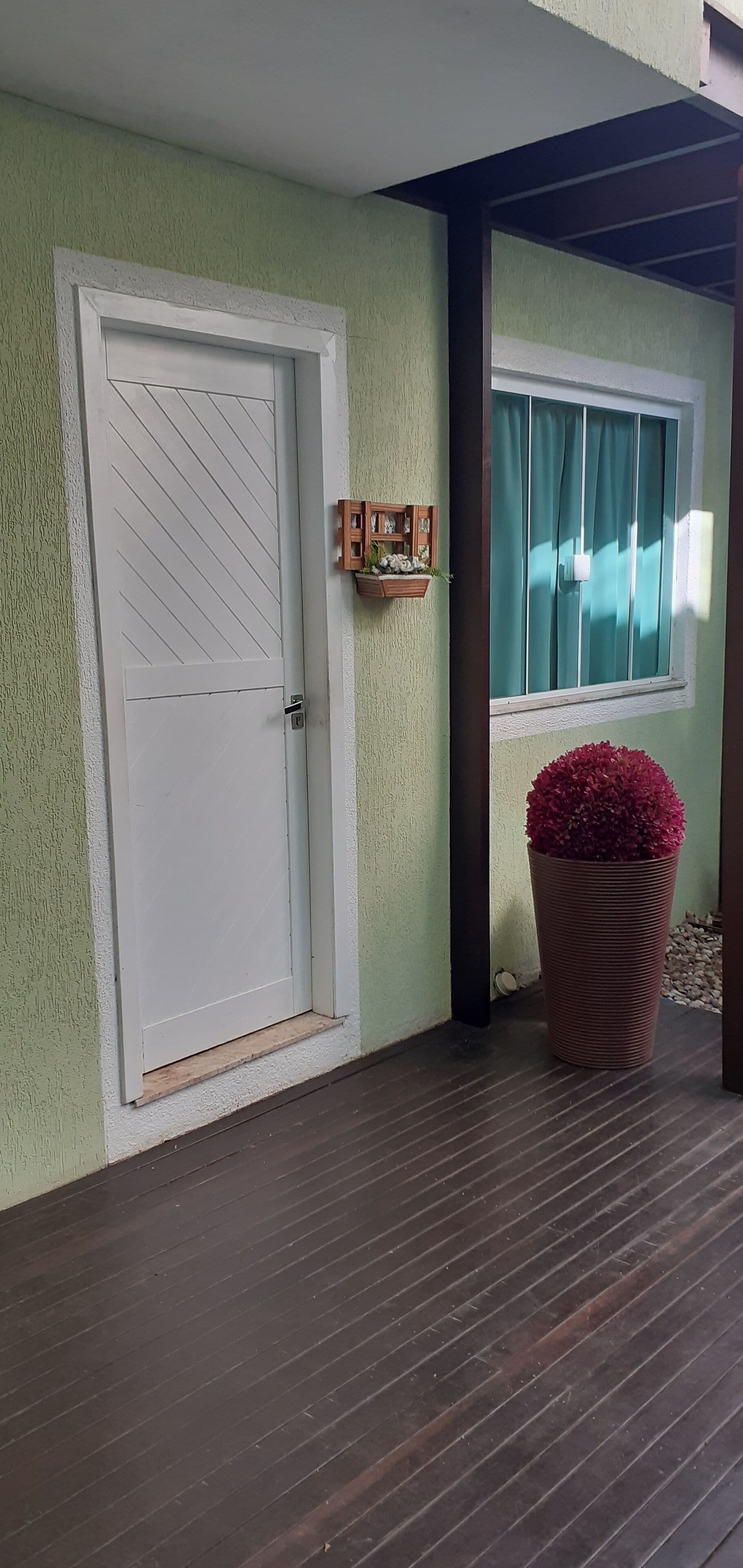 A door with diagonal lines, a window with curtains, and a potted plant.
